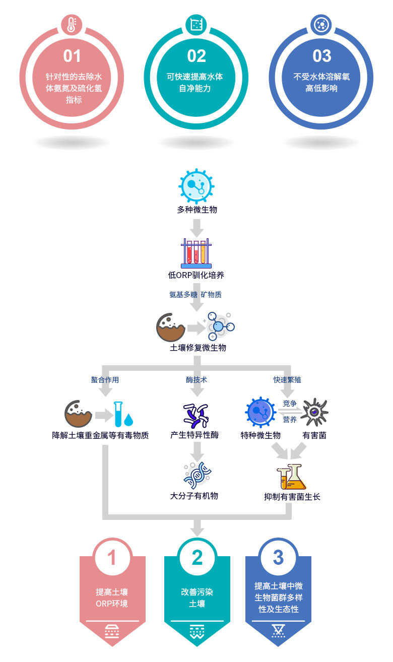 mr-s01土壤修复微生物_迈嵘环保